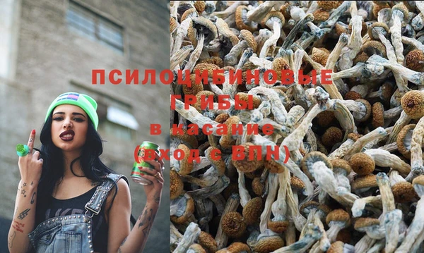 кокс Верея