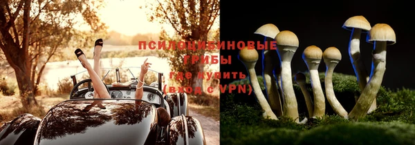 шишки Верхнеуральск