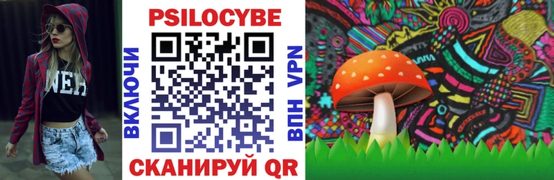 цена наркотик  Вичуга  Псилоцибиновые грибы мухоморы 