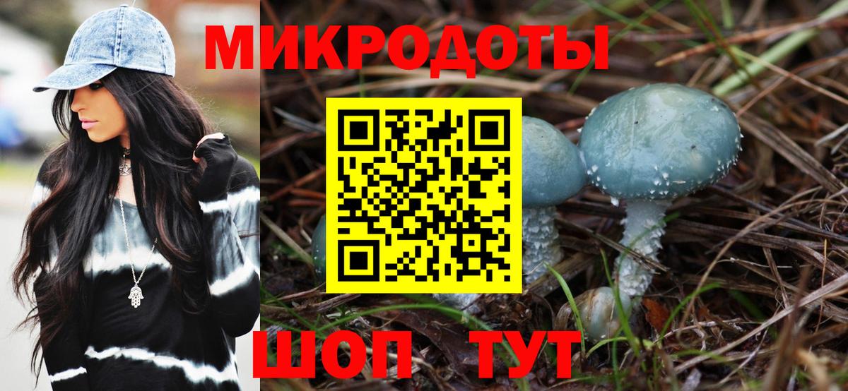 Галлюциногенные грибы Psilocybe  Вход с VPN  сколько стоит  Вичуга 