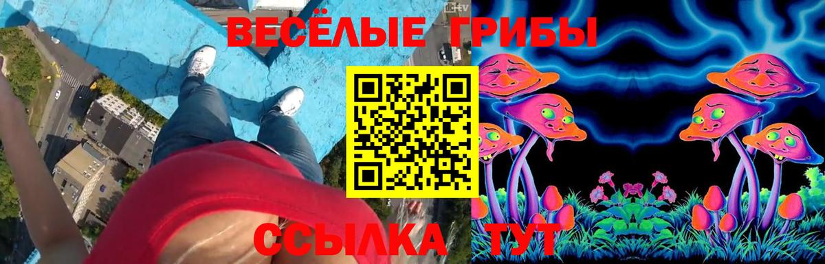 Галлюциногенные грибы прущие грибы Вичуга